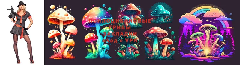 Галлюциногенные грибы Psilocybe  где можно купить наркотик  Севастополь 